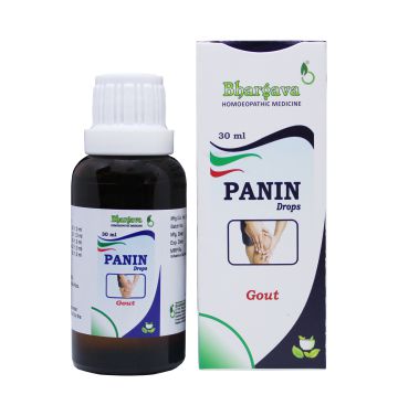 Panin.jpg